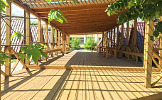 ДОЛ «Красная гвоздика»